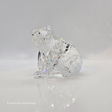 Lade das Bild in den Galerie-Viewer, SWAROVSKI Grizzly Bär 243880