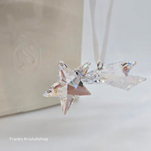 Lade das Bild in den Galerie-Viewer, SWAROVSKI Holiday Magic Sternschnuppen Ornament 2024 Komet 5684557