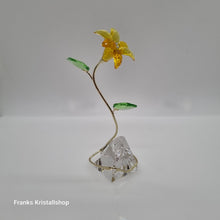 Lade das Bild in den Galerie-Viewer, SWAROVSKI Florere Blume Lilie Blumenträume 5666972