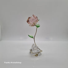 Lade das Bild in den Galerie-Viewer, SWAROVSKI Florere Rose Blumenträume 5666973