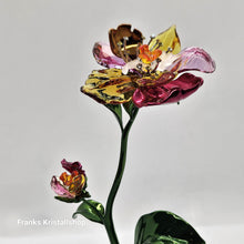 Lade das Bild in den Galerie-Viewer, SWAROVSKI Idyllia Flower Groß L Blumenträume 5639886