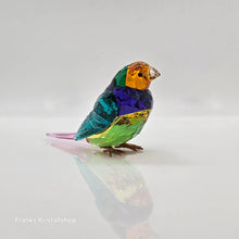 Lade das Bild in den Galerie-Viewer, SWAROVSKI SCS Jahresfigur 2024 Idyllia Gouldamadine Klein 5689266