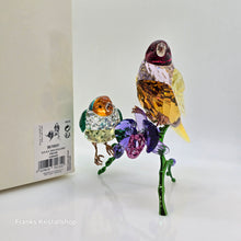 Lade das Bild in den Galerie-Viewer, SWAROVSKI SCS Jahresfigur 2024 Idyllia Gouldamadinen 5670031