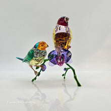 Lade das Bild in den Galerie-Viewer, SWAROVSKI SCS Jahresfigur 2024 Idyllia Gouldamadinen 5670031