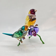 Lade das Bild in den Galerie-Viewer, SWAROVSKI SCS Jahresfigur 2024 Idyllia Gouldamadinen 5670031