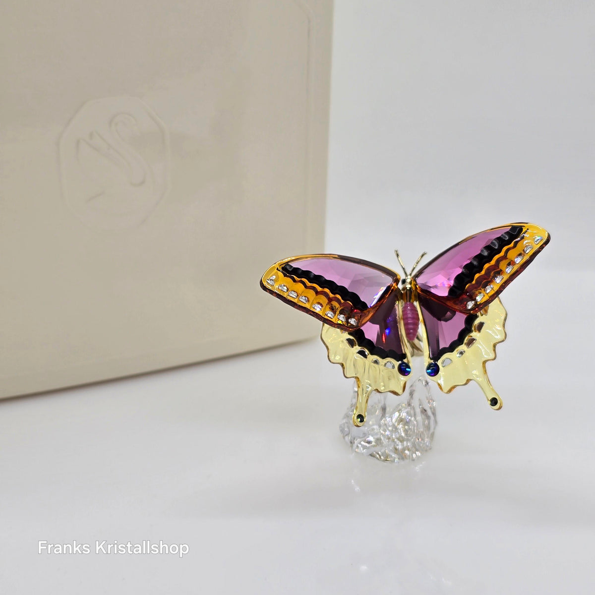 IdylliaSchmetterling2023Butter 