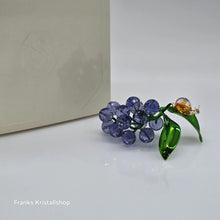 Lade das Bild in den Galerie-Viewer, SWAROVSKI Idyllia Schnecke und Blaubeeren 5667549