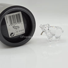 Lade das Bild in den Galerie-Viewer, SWAROVSKI Junger Grizzly Bär mit Fisch 261925