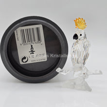 Lade das Bild in den Galerie-Viewer, SWAROVSKI Kakadu 261635