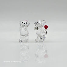 Lade das Bild in den Galerie-Viewer, SWAROVSKI Kris Bär Eine schöne Überraschung 5705324