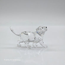 Lade das Bild in den Galerie-Viewer, SWAROVSKI Löwen Baby Löwenjunges 1194148
