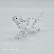 Lade das Bild in den Galerie-Viewer, SWAROVSKI Löwen Baby Löwenjunges 1194148