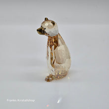Lade das Bild in den Galerie-Viewer, SWAROVSKI Lovlots - Bär Ted 1039557