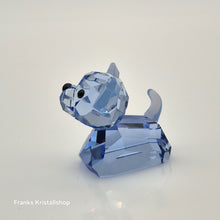 Lade das Bild in den Galerie-Viewer, SWAROVSKI Hund Coco der Chihuahua 1089200