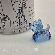 Lade das Bild in den Galerie-Viewer, SWAROVSKI Hund Coco der Chihuahua 1089200