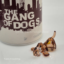 Lade das Bild in den Galerie-Viewer, SWAROVSKI Lovlots - Hund Basset Peppino 935720