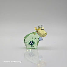 Lade das Bild in den Galerie-Viewer, SWAROVSKI Champion Mo 5004629