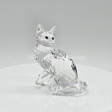 Lade das Bild in den Galerie-Viewer, SWAROVSKI Maine Coon Katze 5135919 oU