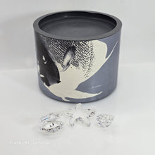 Lade das Bild in den Galerie-Viewer, SWAROVSKI Maritimes Trio Muschel Schnecke Seestern 191697