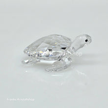 Lade das Bild in den Galerie-Viewer, SWAROVSKI Meeresschildkröte 5063691
