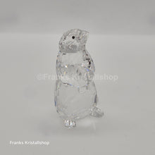 Lade das Bild in den Galerie-Viewer, SWAROVSKI Murmeltier 289305