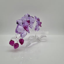 Lade das Bild in den Galerie-Viewer, SWAROVSKI Orchidee 5520373
