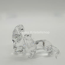 Lade das Bild in den Galerie-Viewer, SWAROVSKI Otter Fischotter 5385060