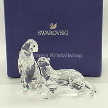 Lade das Bild in den Galerie-Viewer, SWAROVSKI Otter Fischotter 5385060