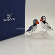 Lade das Bild in den Galerie-Viewer, SWAROVSKI Papageientaucher 261643
