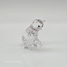 Lade das Bild in den Galerie-Viewer, SWAROVSKI Katzenmutter Katze 5688519