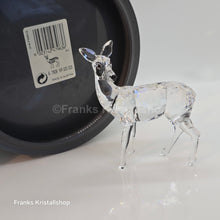 Lade das Bild in den Galerie-Viewer, SWAROVSKI Reh Mutter Rehmutter 247963