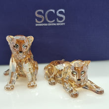 Lade das Bild in den Galerie-Viewer, SWAROVSKI SCS Amur Leoparden Babys 2019 5428542