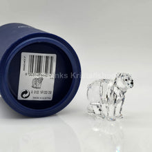 Lade das Bild in den Galerie-Viewer, SWAROVSKI Bärenbruder 866407