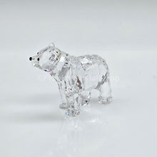 Lade das Bild in den Galerie-Viewer, SWAROVSKI Bärenbruder 866407
