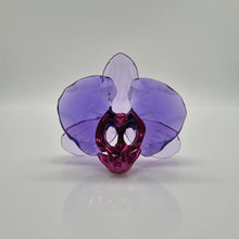 Lade das Bild in den Galerie-Viewer, SWAROVSKI SCS Idyllia 2024 Orchidee Blütenblatt 5669354