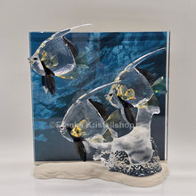 Lade das Bild in den Galerie-Viewer, SWAROVSKI SCS Jahresfigur 2007 Wonders Of The Sea Community Color 854650 oS