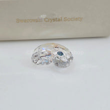 Lade das Bild in den Galerie-Viewer, SWAROVSKI SCS Jahresfigur 2025 Event Idyllia Nautilus Muschel 5688672