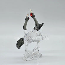 Lade das Bild in den Galerie-Viewer, SWAROVSKI Mandschurenkraniche 1142860 oU