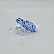 Lade das Bild in den Galerie-Viewer, SWAROVSKI SCS Pfeilgiftfrosch Event 955439