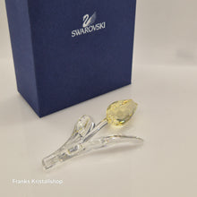 Lade das Bild in den Galerie-Viewer, SWAROVSKI SCS Tulpe Gelb 606568