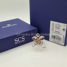 Lade das Bild in den Galerie-Viewer, SWAROVSKI SCS Wüstenrose 2021 Desert Rose 5557914