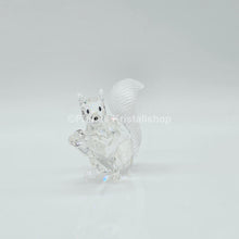 Lade das Bild in den Galerie-Viewer, SWAROVSKI SCS Eichhörnchen 84335