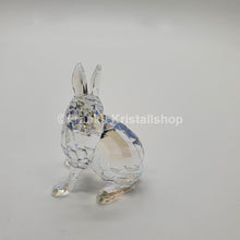 Lade das Bild in den Galerie-Viewer, SWAROVSKI SCS Hase Schneehase Polarhase 2011 Event 1055005