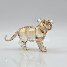 Lade das Bild in den Galerie-Viewer, SWAROVSKI SCS Junger Tiger 2010 stehend 1016677