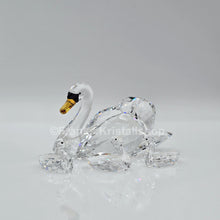 Lade das Bild in den Galerie-Viewer, SWAROVSKI SCS Schwäne Jubiläumsausgabe 2017 5233542