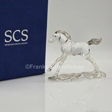 Lade das Bild in den Galerie-Viewer, SWAROVSKI SCS Jahresfigur 2014 Esperanza Fohlen 5004729 oU