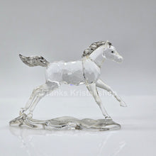 Lade das Bild in den Galerie-Viewer, SWAROVSKI SCS Jahresfigur 2014 Esperanza Fohlen 5004729 oU