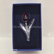 Lade das Bild in den Galerie-Viewer, SWAROVSKI SCS Tulpe Rot 626481