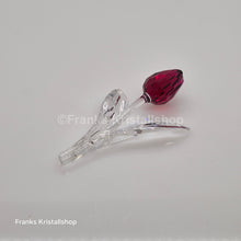 Lade das Bild in den Galerie-Viewer, SWAROVSKI SCS Tulpe Rot 626481