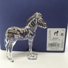 Lade das Bild in den Galerie-Viewer, SWAROVSKI SCS Zebra Baby Zuri zur Jahresfigur 2021 Amai 5557906